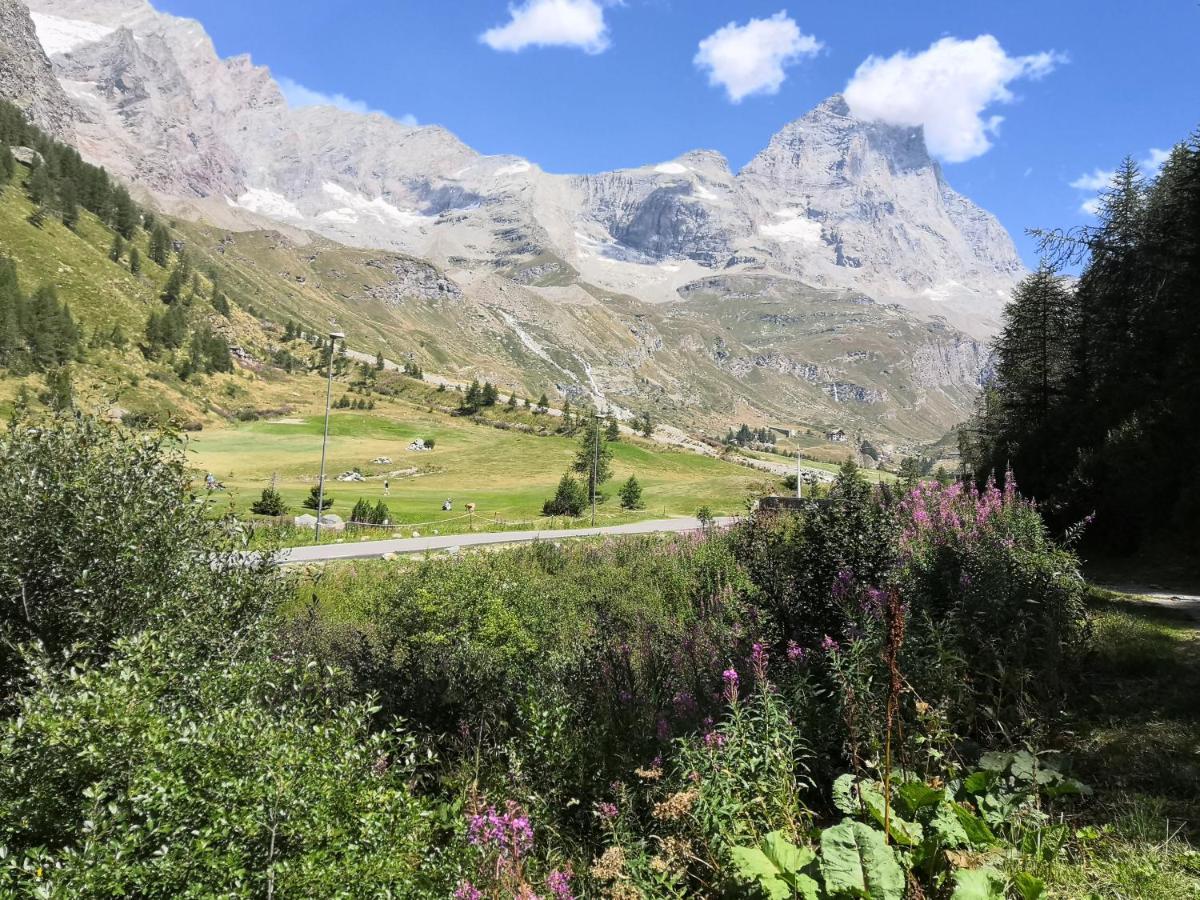 Le Petit Refuge Cervinia Apartment Breuil-Cervinia Bagian luar foto
