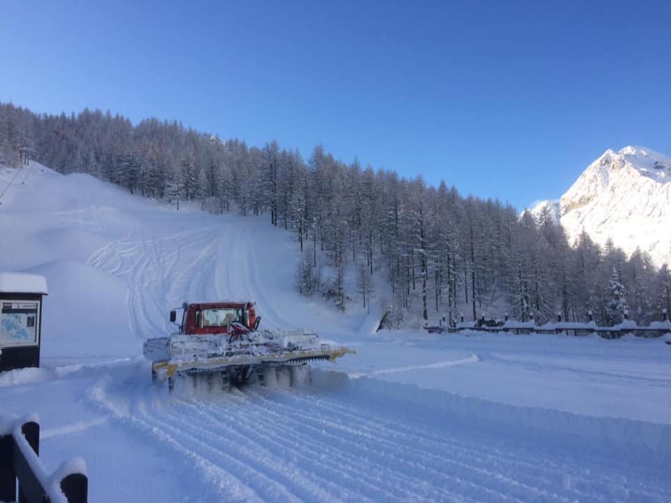 Le Petit Refuge Cervinia Apartment Breuil-Cervinia Bagian luar foto