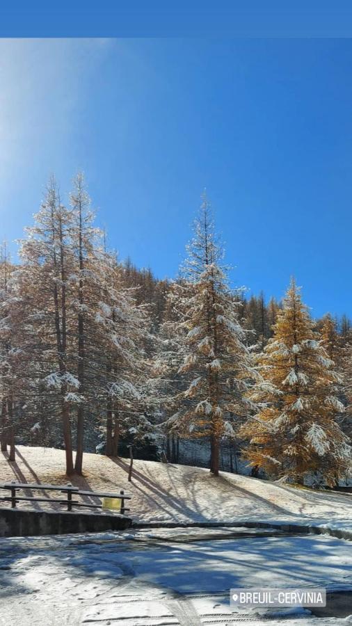 Le Petit Refuge Cervinia Apartment Breuil-Cervinia Bagian luar foto