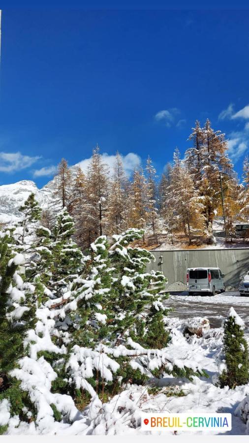 Le Petit Refuge Cervinia Apartment Breuil-Cervinia Bagian luar foto